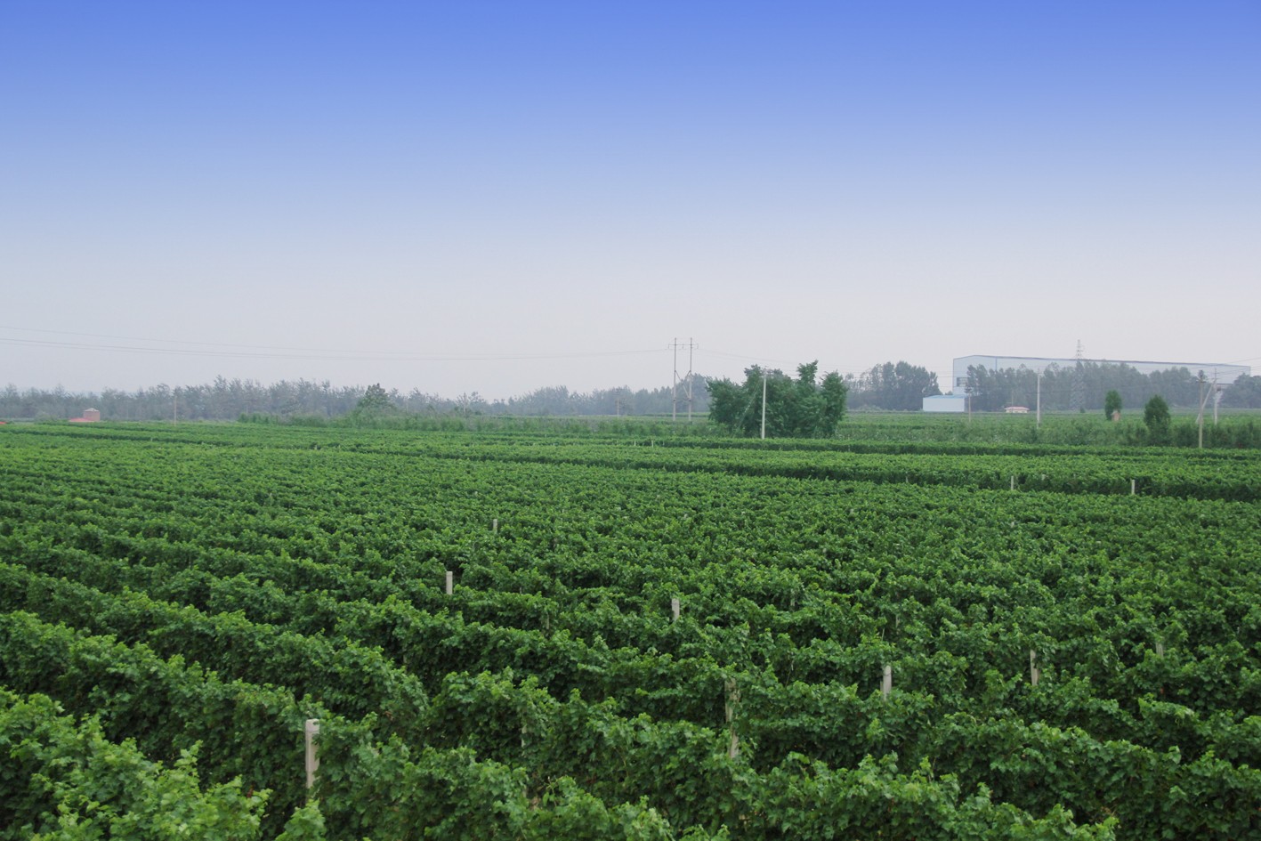 16193105651422.jpg 7.jpg