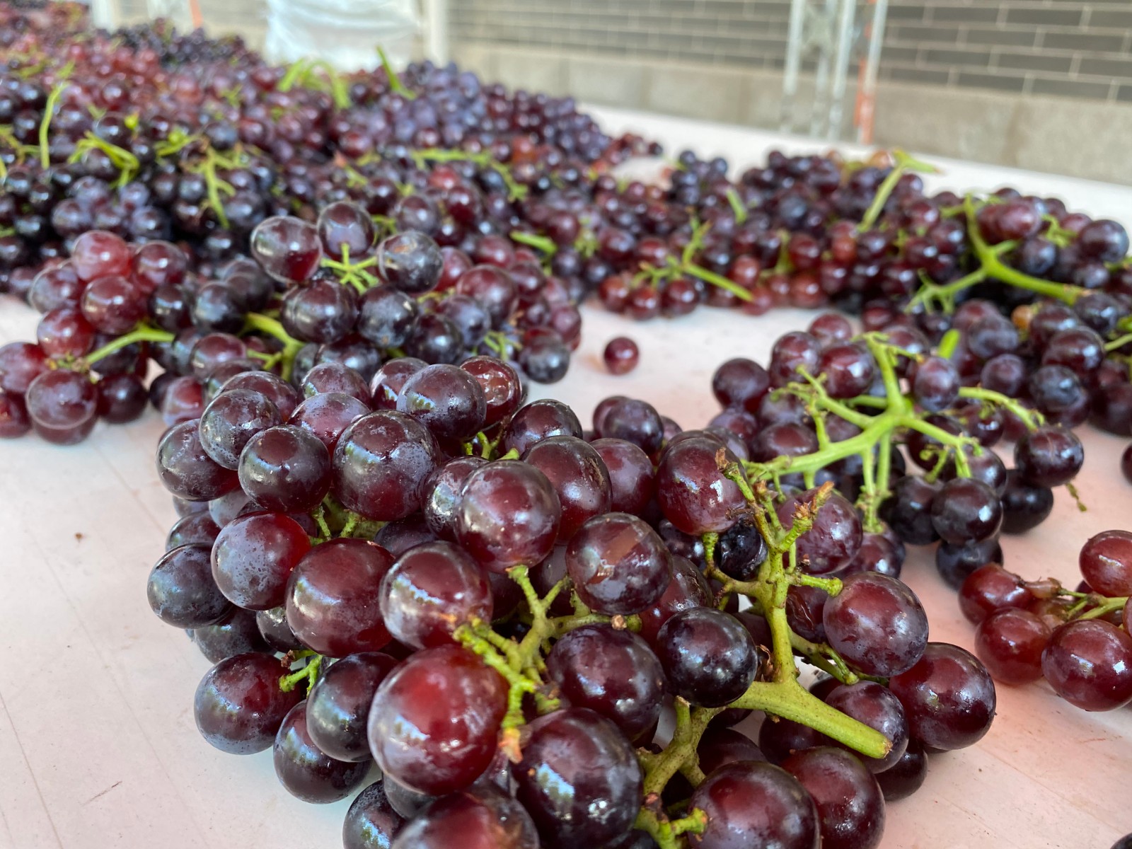 16296792783275.jpg 微信圖片_20210821093049.jpg