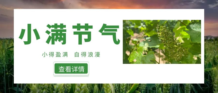 小滿 ▎小得盈滿，自得浪漫~