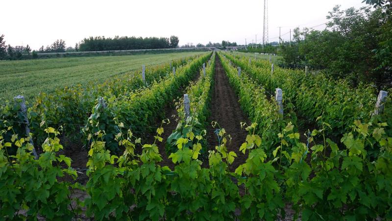 16682170265324.jpg 87b0efdadc0d9e00f5ffe2d404c11d4.jpg